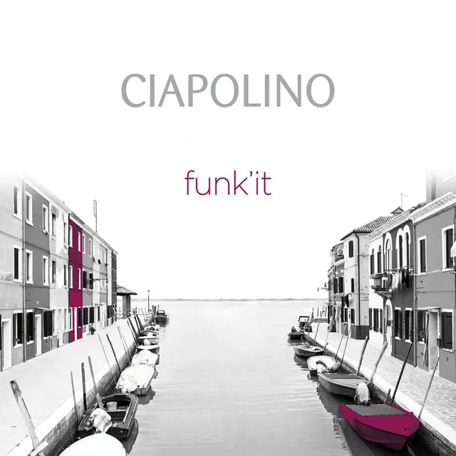 Funk'it (feat. Mike Clinton, Latabi Diouani, Kris Drever, Fidel Fourneyron, Alasdair White)