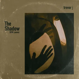 The Shadow by Trevor J