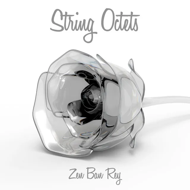 String Octets