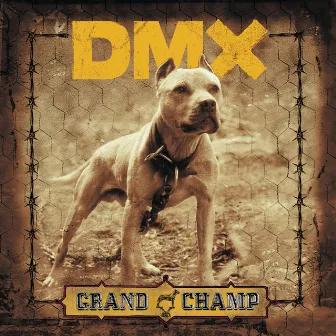 Grand Champ by DMX