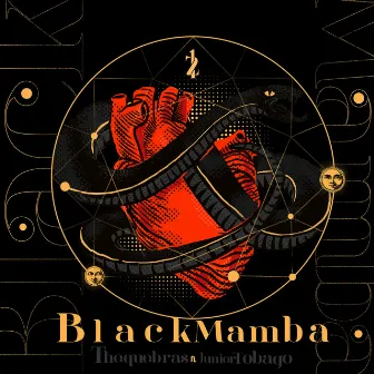 Black Mamba by Thequebras