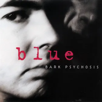 Blue by Bark Psychosis