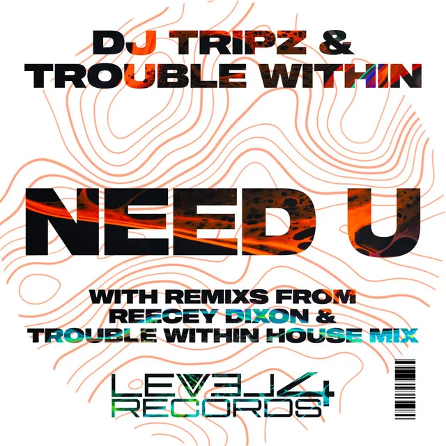 Need U - Trouble Within House Mix