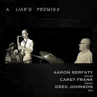 A Liar's Promise by Carey Frank