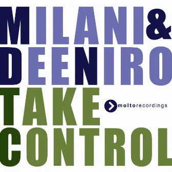 Take Control (Radio Edit) by Dee Niro