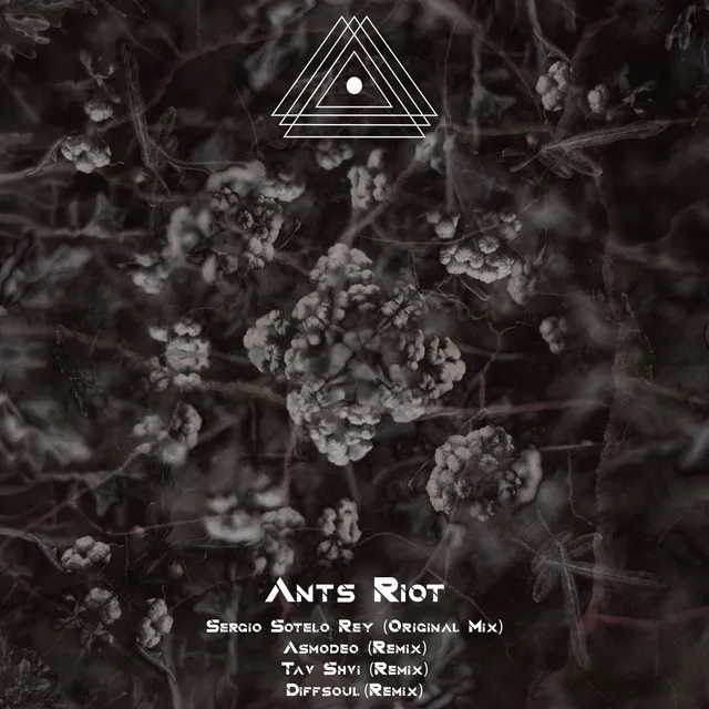 Ants Riot - Tav Shvi Remix