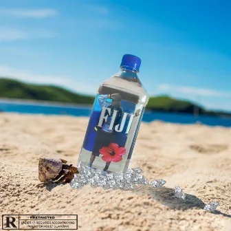 Fiji by Silent Ski