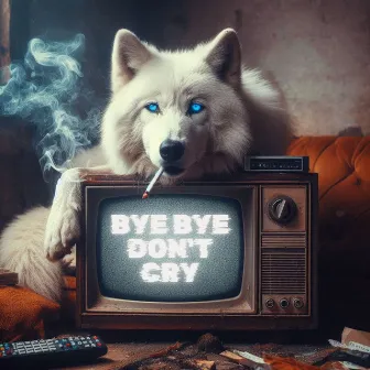 BYE BYE DON'T CRY by Tiago Darko