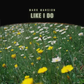 Like I Do by Mark Mansion