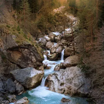 Enchanted Nature's ASMR: Creek and Bird Harmony by Birds Of The West