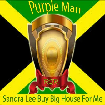 Sandra Lee Buy Big House for Me by Purple Man