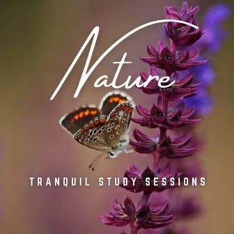 Tranquil Study Sessions: Earthly Bliss by Granular Soundscape