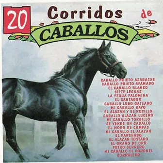 20 Corridos de Caballos by Valente Pastor