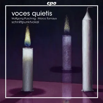 voces quietis by Schnittpunktvokal Male Quartet