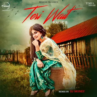 Teri Wait (Remix) - Single by Dj Money