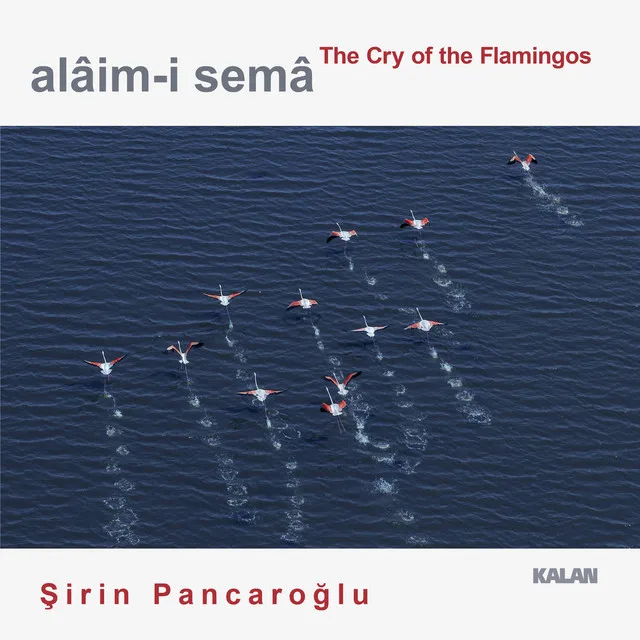 Alâim-i Semâ: The Cry of the Flamingos