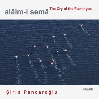 Alâim-i Semâ: The Cry of the Flamingos by Şirin Pancaroğlu