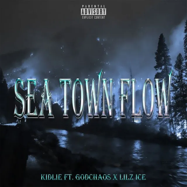 SEATOWNFLOW