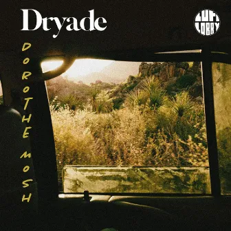 Dryade by Dorothe Mosh