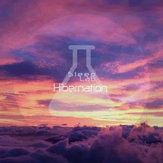 Hibernation by Sleep Lab