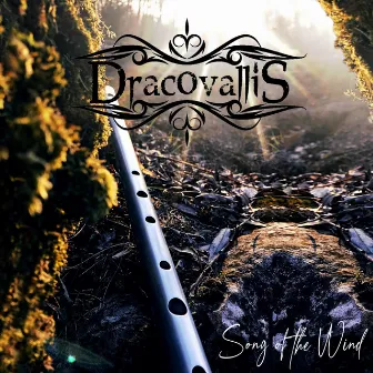 Song of the Wind by Dracovallis