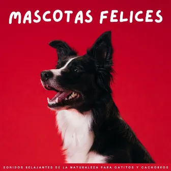 Mascotas Felices: Sonidos Relajantes De La Naturaleza Para Gatitos Y Cachorros by Mascotas Total Relax