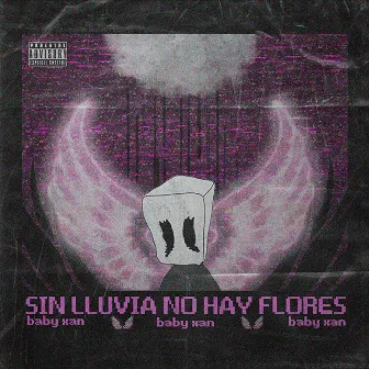 Sin Lluvia No hay Flores (Mixtape) by Baby Xan