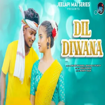 Dil Diwana by Bharati Purty