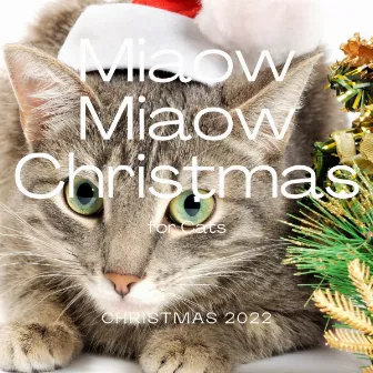 1 Miaow Miaow Christmas by Cats & Dogs