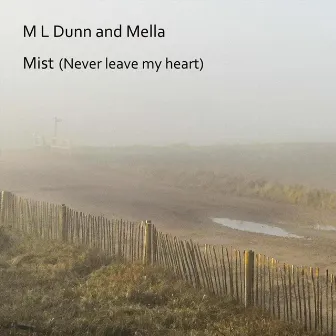 Mist (Never Leave My Heart) by Mella