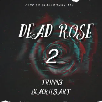 Dead Rose 2 by Trippi3 Blackh3art