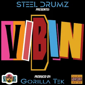 Vibin by Steel Drumz