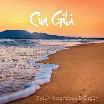 Çin Gibi by Oytun Karanacak