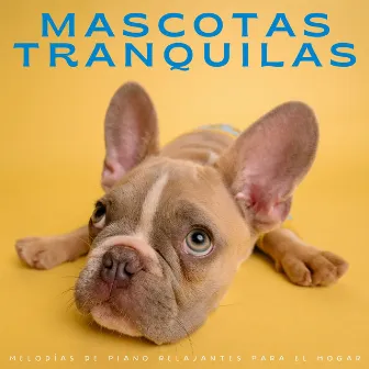 Mascotas Tranquilas: Melodías De Piano Relajantes Para El Hogar by Jazz clásico antiguo