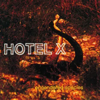 Engendered Species by Hotel X