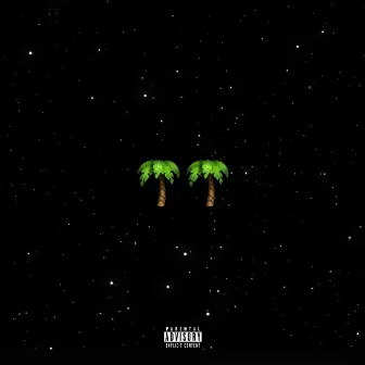 Palmwine Music 2 by Show Dem Camp