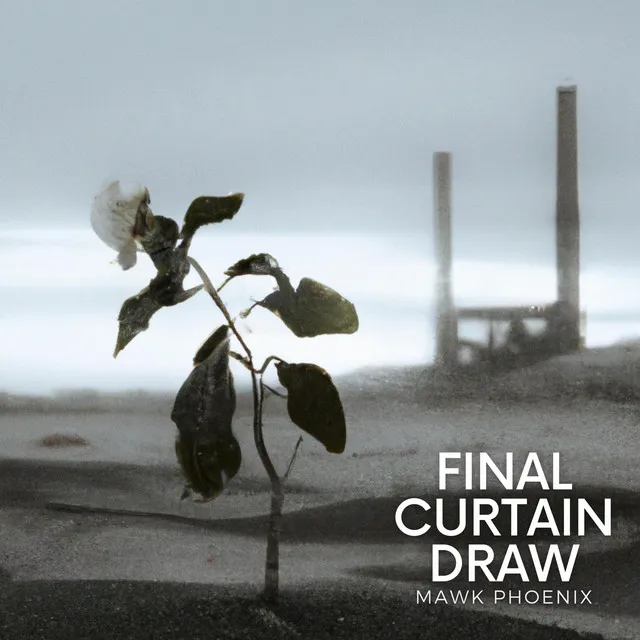 Final Curtain Draw