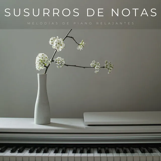 Susurros De Notas: Melodías De Piano Relajantes