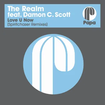 Love U Now (Spiritchaser Remixes) by The Realm