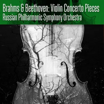 Brahms & Beethoven: Violin Concerto Pieces by Russian Philharmonic Symphony Orchestra