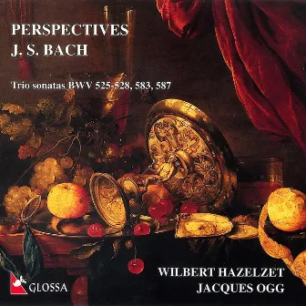 Perspectives by Wilbert Hazelzet