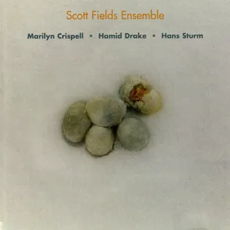 Five Frozen Eggs by Scott Fields Ensemble