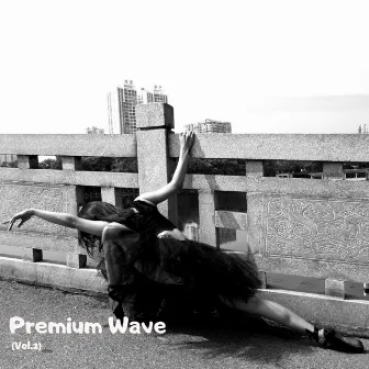 Premium Wave, Vol. 2 by Gravity Music