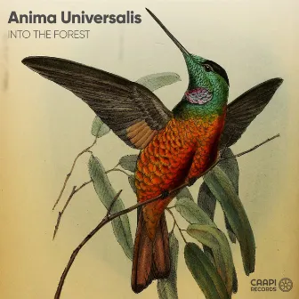 Into the Forest by Anima Universalis