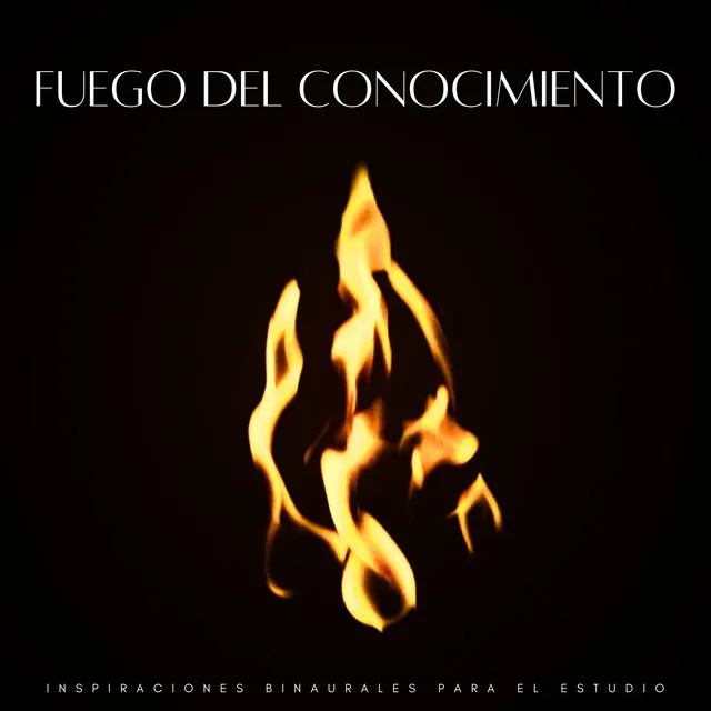 Estudio Junto Al Fuego