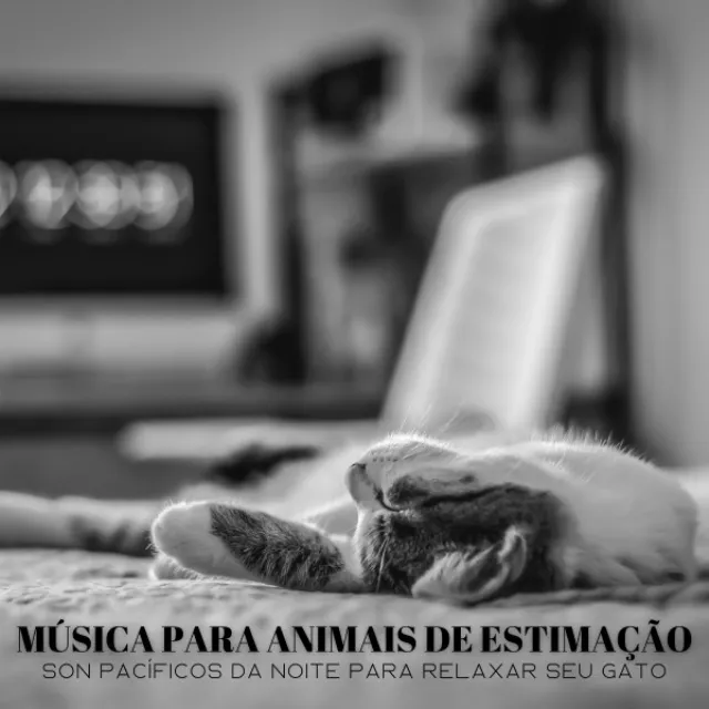 Música Para Animais De Estimação: Son Pacíficos Da Noite Para Relaxar Seu Gato