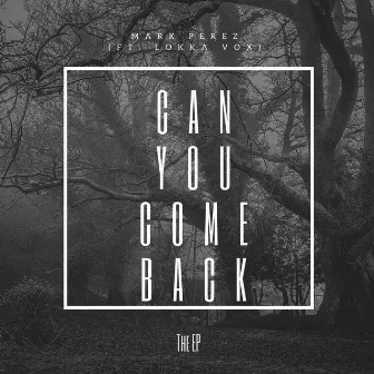 Can You Come Back by Mark Perez