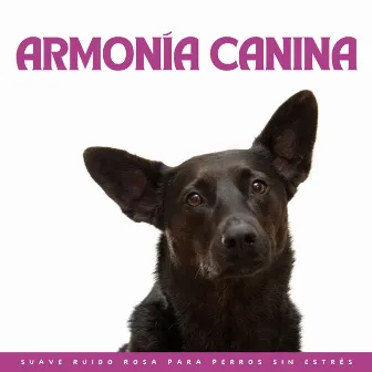 Armonía Canina: Suave Ruido Rosa Para Perros Sin Estrés by En El Ruido