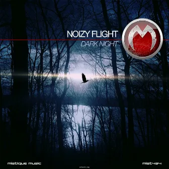 Dark Night by Noizy Flight