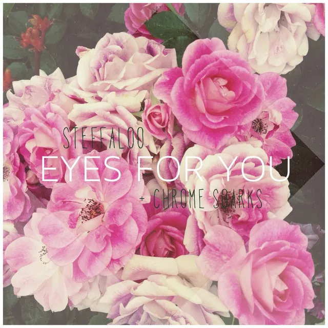 Eyes for You (Niva Remix)